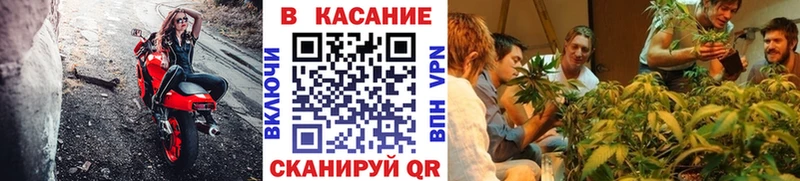 Виды наркоты Щёлково A PVP  АМФЕТАМИН  Меф мяу мяу  Героин  COCAIN  NBOMe  Канабис 
