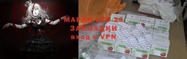 ПСИЛОЦИБИНОВЫЕ ГРИБЫ Алексин