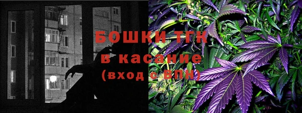 ПСИЛОЦИБИНОВЫЕ ГРИБЫ Алексин