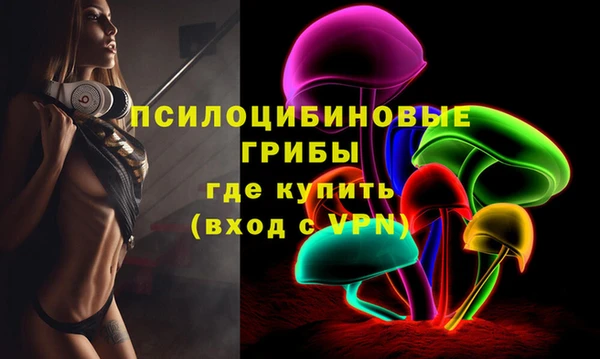 ПСИЛОЦИБИНОВЫЕ ГРИБЫ Алексин
