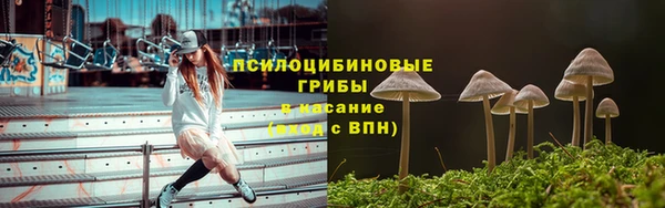PSILOCYBIN Абдулино