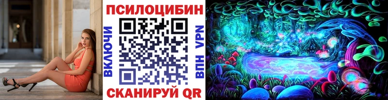 закладки  Щёлково  Галлюциногенные грибы мицелий 